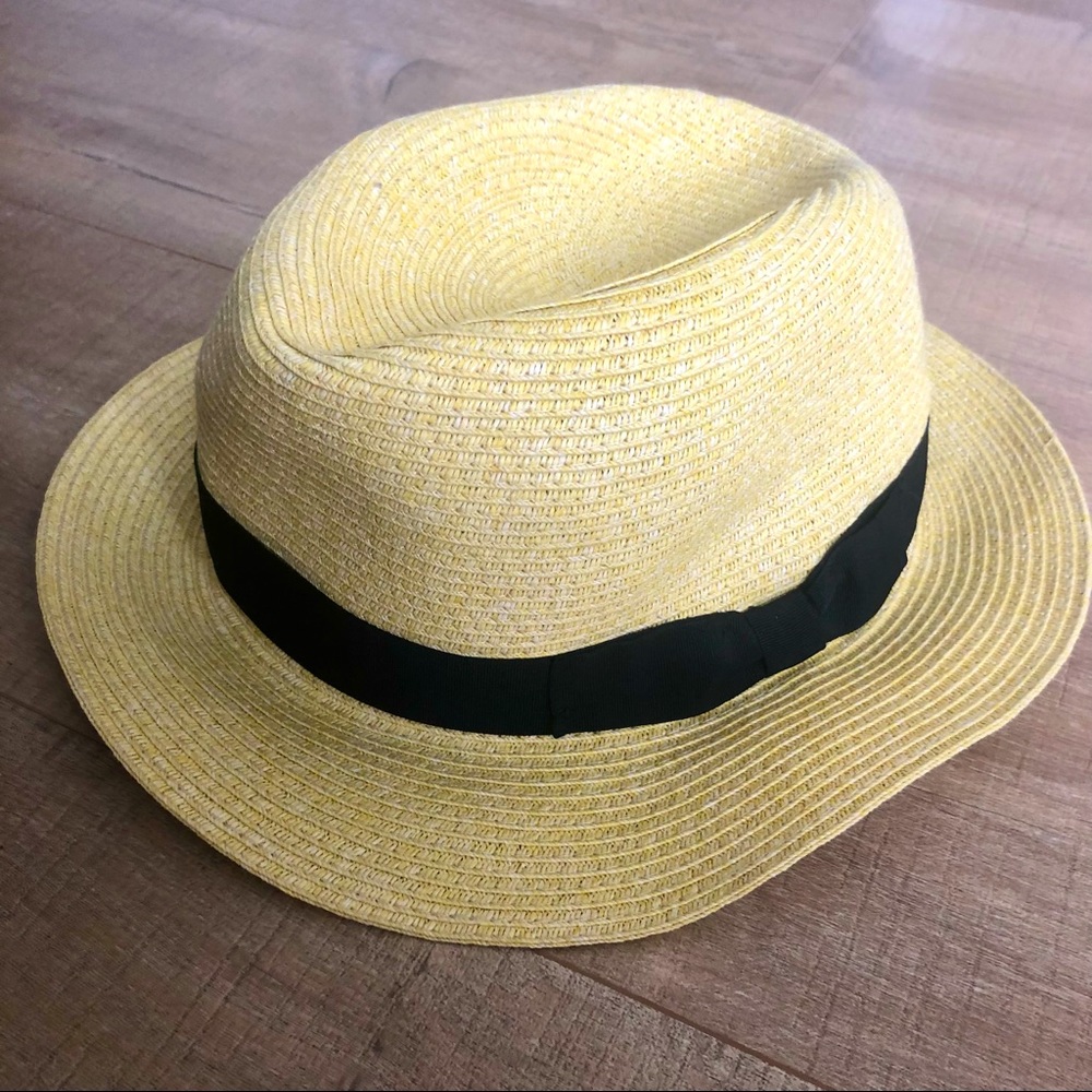 Zara Panama hat